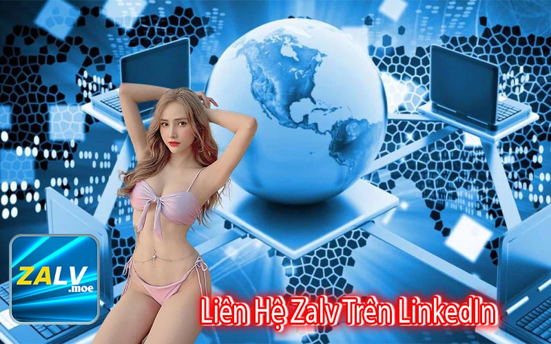 Liên Hệ Zalv Trên LinkedIn